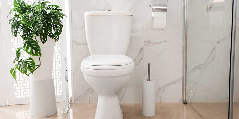Troubleshooting Toilet Problems